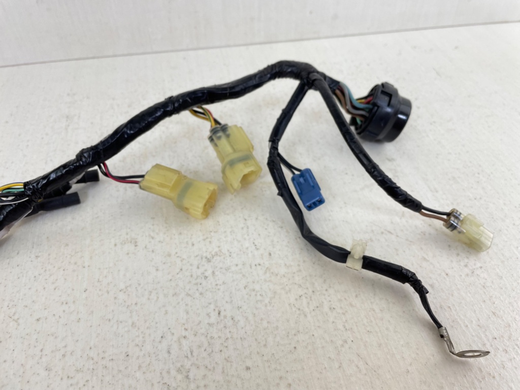 2003 Honda BF 40 50 HP 4 Stroke Outboard Engine Wire Harness 32520-ZV5-821
