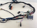 2009 Mercury 25 30 HP 4 Stroke Outboard Engine Wire Harness Assembly 898101T52