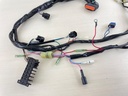 2009 Mercury 25 30 HP 4 Stroke Outboard Engine Wire Harness Assembly 898101T52