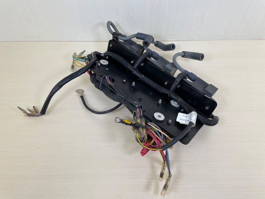 2000 Mercury 60HP 2 Stroke Engine Harness With Coil Packs Plate Regulator