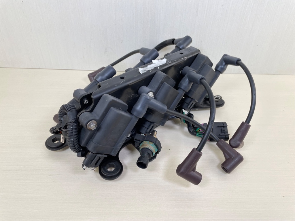 2012 Mercury 150HP Optimax 2 Stroke Outboard Ignition Coil Set With Plate 883778A01