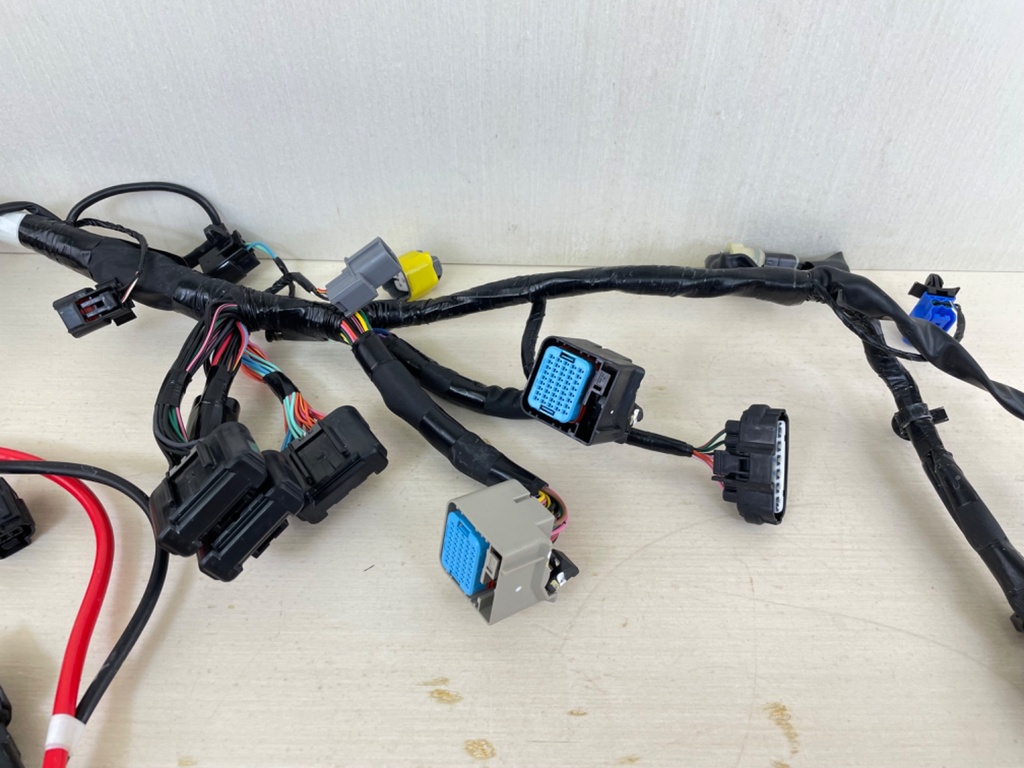 2015 Yamaha 200HP F200 4 Stroke Outboard Engine Wire Harness Assembly 6DA-82590-00-00