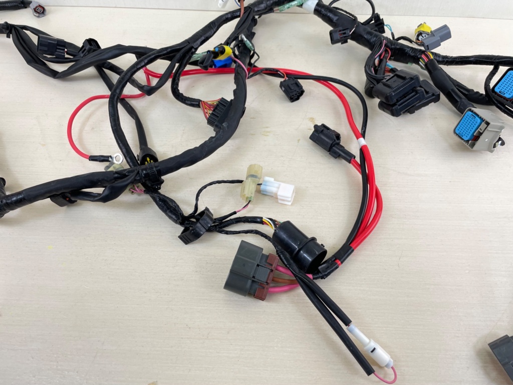 2015 Yamaha 200HP F200 4 Stroke Outboard Engine Wire Harness Assembly 6DA-82590-00-00