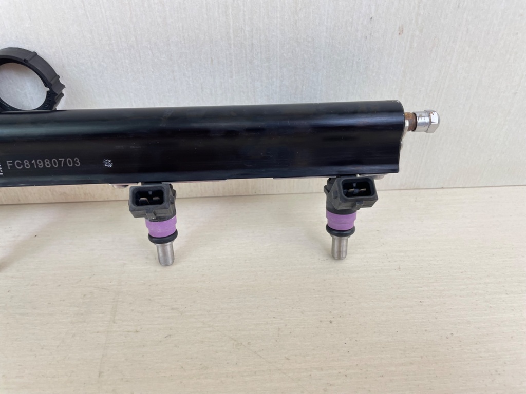 Mercury 200 225 250 275 300 HP L6 Verado Fuel Rail Assembly With Injectors