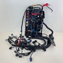 2006-08 Mercury 200 225 250 275 300 HP L6 Verado Engine Wire Harness 880616T07