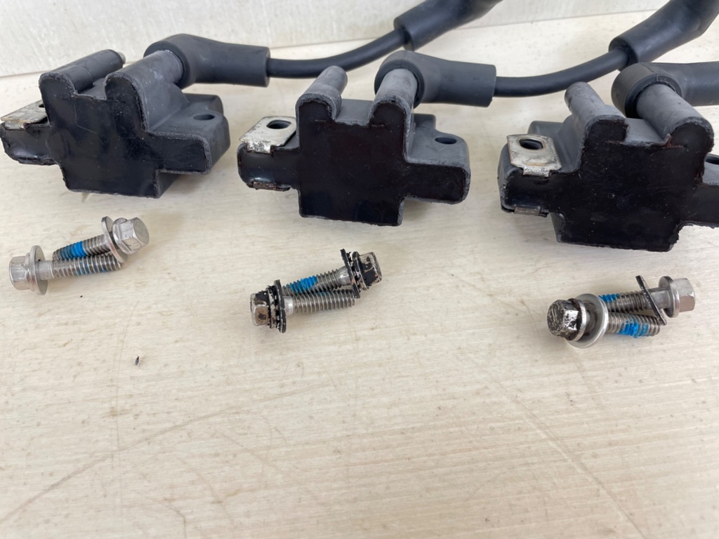 Evinrude Johnson BRP 2 Stroke Outboard Ignition Coil Set 0582508