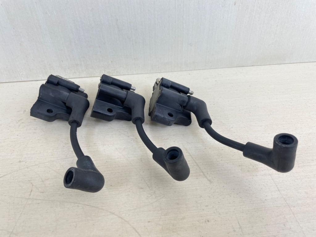 Evinrude Johnson BRP 2 Stroke Outboard Ignition Coil Set 0582508