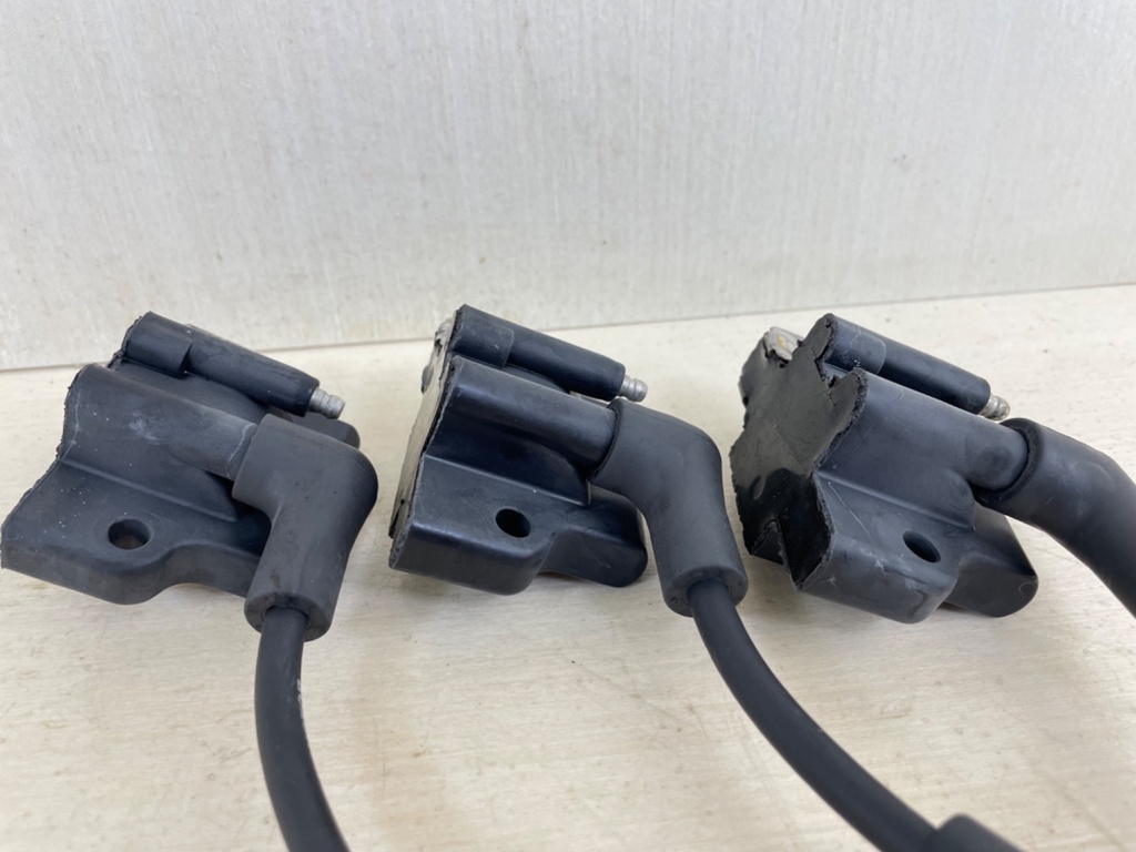 Evinrude Johnson BRP 2 Stroke Outboard Ignition Coil Set 0582508