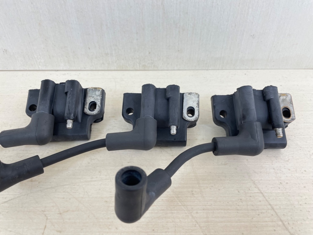 Evinrude Johnson BRP 2 Stroke Outboard Ignition Coil Set 0582508