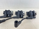 Evinrude Johnson BRP 2 Stroke Outboard Ignition Coil Set 0582508