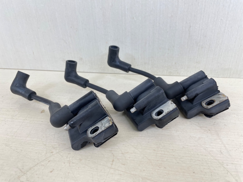 Evinrude Johnson BRP 2 Stroke Outboard Ignition Coil Set 0582508