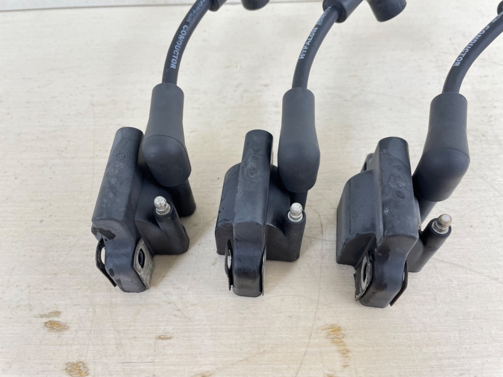 Evinrude Johnson BRP 2 Stroke Outboard Ignition Coil Set 0582508