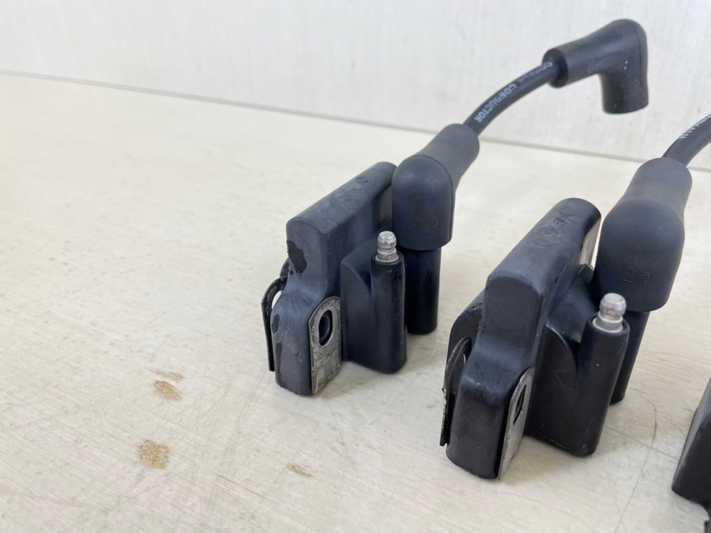 Evinrude Johnson BRP 2 Stroke Outboard Ignition Coil Set 0582508