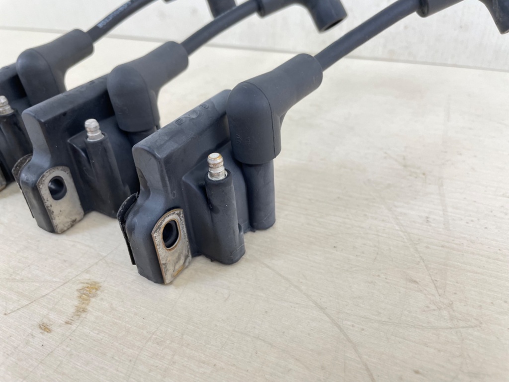Evinrude Johnson BRP 2 Stroke Outboard Ignition Coil Set 0582508