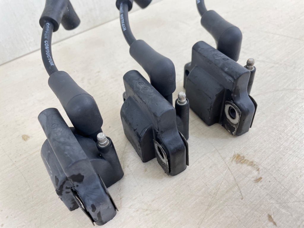 Evinrude Johnson BRP 2 Stroke Outboard Ignition Coil Set 0582508