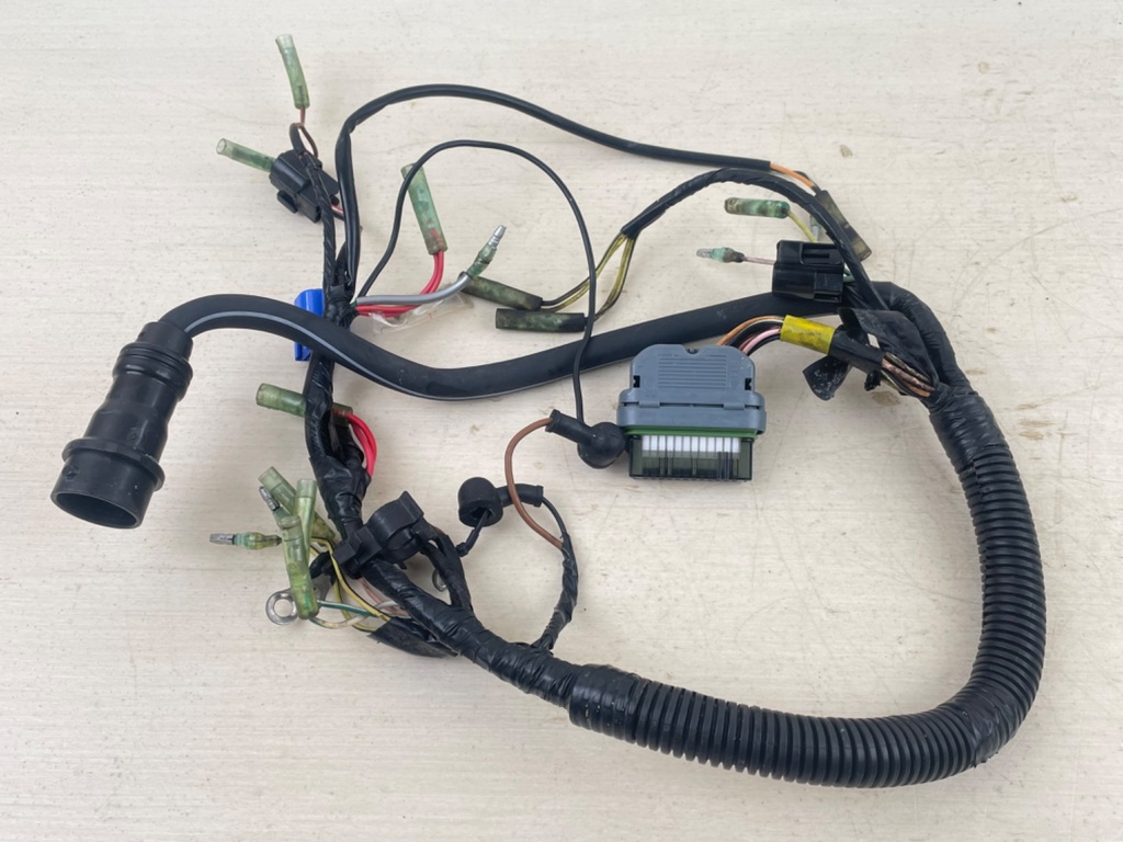 2005 Yamaha 25HP 4 Stroke Outboard Engine Wire Harness Assembly 65W-82590-30-00