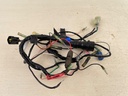 2008 Yamaha 70HP 2 Stroke Outboard Engine Wire Harness Assembly 6H2-82590-80-00