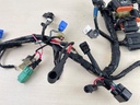 2009 Yamaha 60HP 4 Stroke Outboard Engine Wire Harness Assembly 6C5-82590-40-00