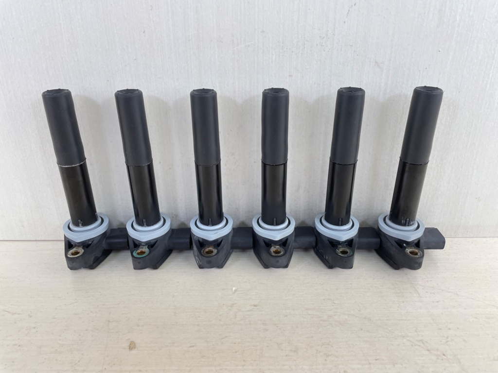 Mercury Verado Pencil Ignition Coil Assembly Set of 6 880615T01