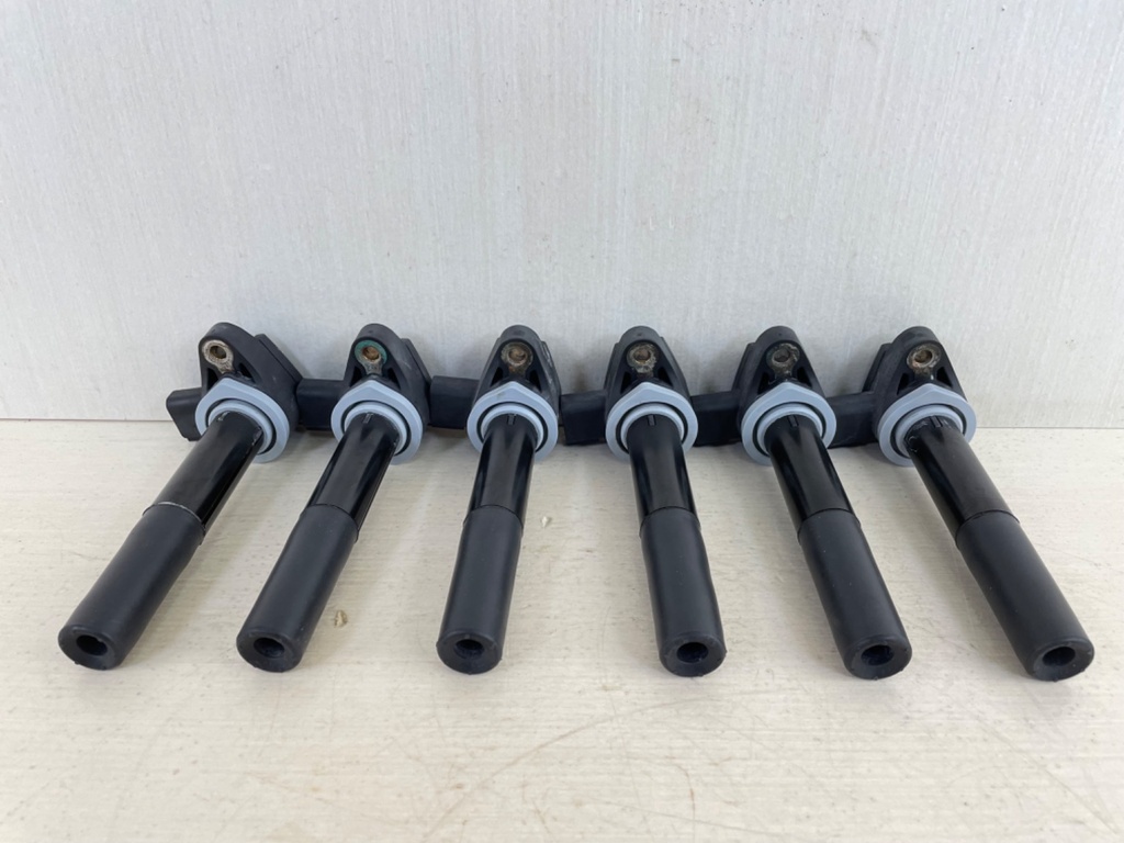 Mercury Verado Pencil Ignition Coil Assembly Set of 6 880615T01