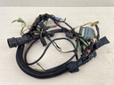 1999-2005 Yamaha 25HP 4 Stroke Outboard Engine Wire Harness 65W-82590-40-00