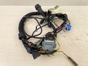 1999-2005 Yamaha 25HP 4 Stroke Outboard Engine Wire Harness 65W-82590-40-00