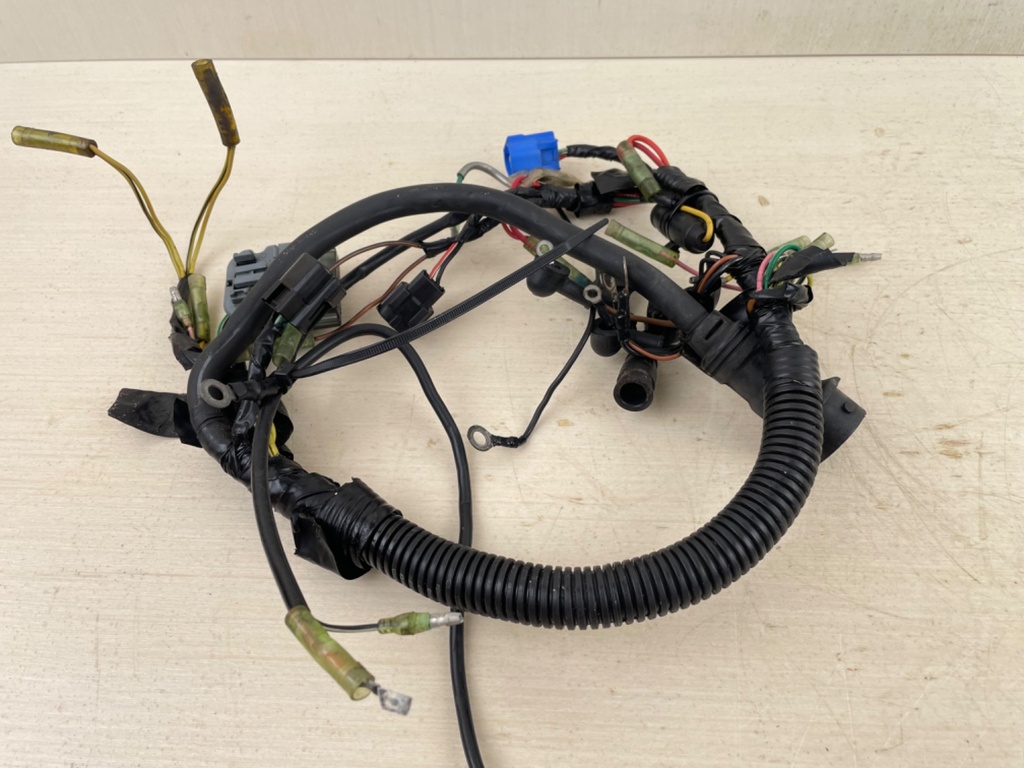 1999-2005 Yamaha 25HP 4 Stroke Outboard Engine Wire Harness 65W-82590-40-00