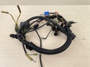 1999-2005 Yamaha 25HP 4 Stroke Outboard Engine Wire Harness 65W-82590-40-00