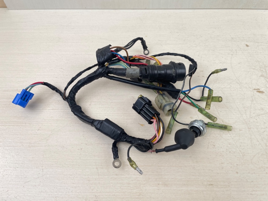 Yamaha 50HP 4 Stroke Outboard Engine Wire Harness 62Y-82590-10-00 96-00