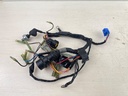 Yamaha 50HP 4 Stroke Outboard Engine Wire Harness 62Y-82590-10-00 96-00
