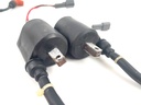 2002 Yamaha 175HP 2 Stroke HPDI Outboard Ignition Coil Assembly Set 68F-82310-11-00