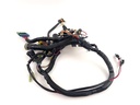 2001 Mercury 200 HP 2 Stroke Engine Wire Harness 857165T1 OEM Outboard