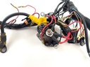 2001 Mercury 200 HP 2 Stroke Engine Wire Harness 857165T1 OEM Outboard