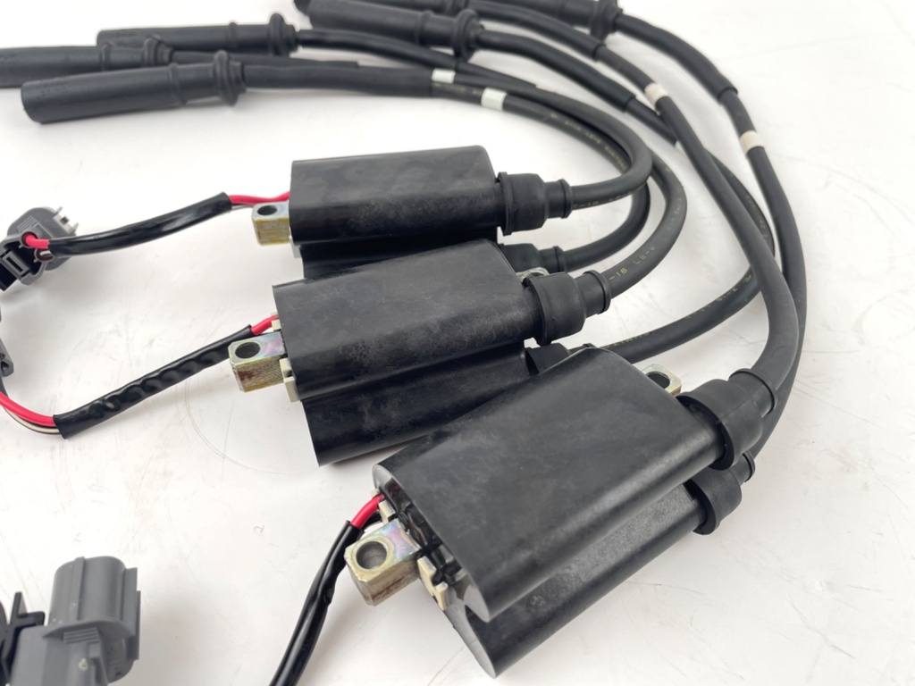 2002-2009 Yamaha 200 225HP 4 Stroke Outboard Ignition Coil Set 69J-82310-00-00