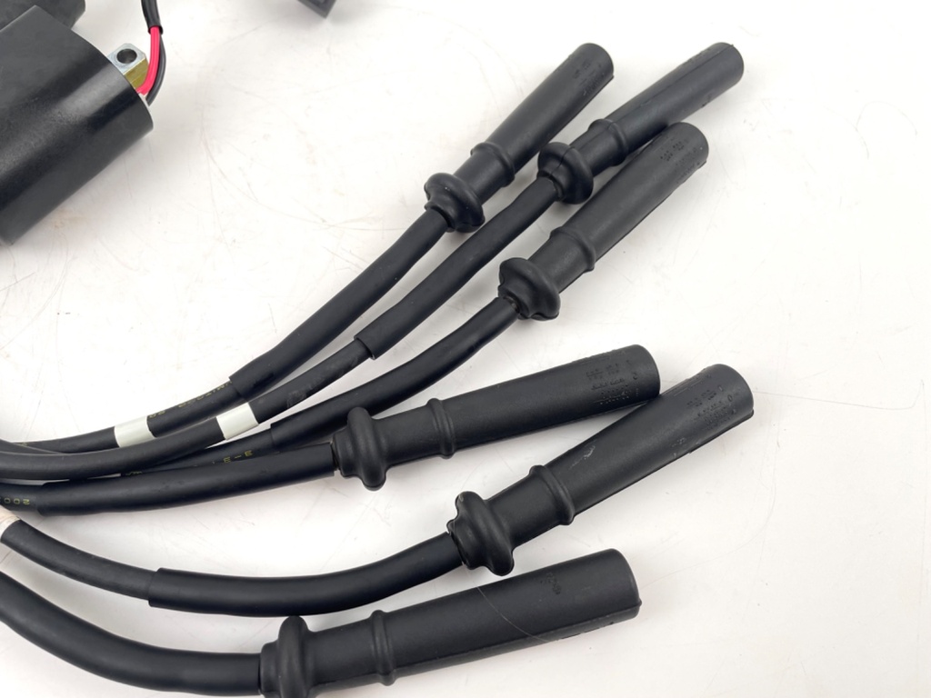 2002-2009 Yamaha 200 225HP 4 Stroke Outboard Ignition Coil Set 69J-82310-00-00