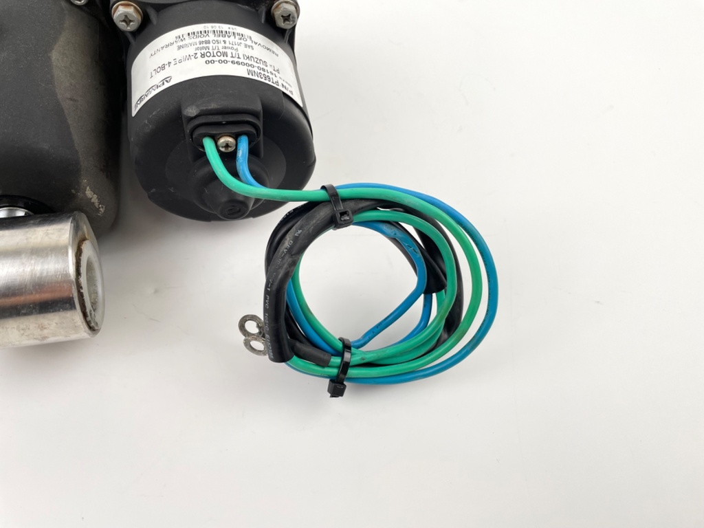 Johnson Evinrude Suzuki DF 70 90 115 HP Outboard Engine Tilt Trim Unit Assembly