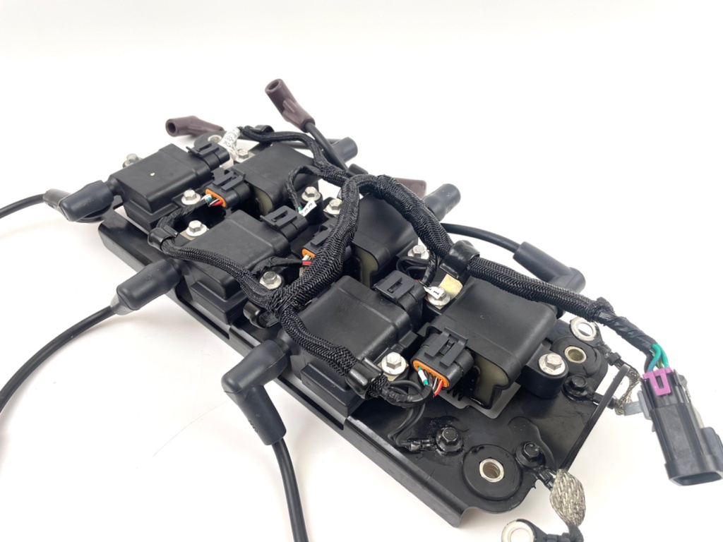 2015 Mercury 250 HP 2 Stroke Outboard Ignition Coil Set W/ Plate 879984A1 OEM