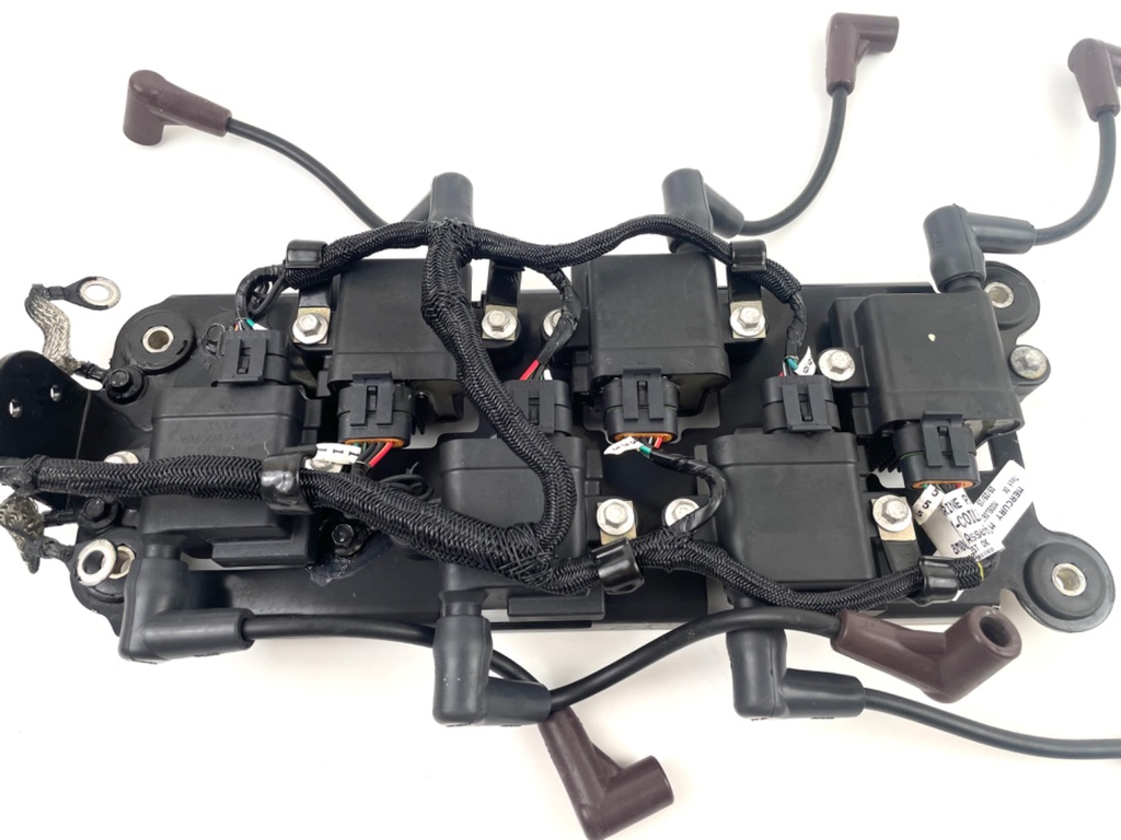 2015 Mercury 250 HP 2 Stroke Outboard Ignition Coil Set W/ Plate 879984A1 OEM