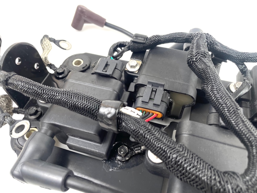 2015 Mercury 250 HP 2 Stroke Outboard Ignition Coil Set W/ Plate 879984A1 OEM