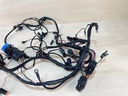 1999 Evinrude Ficht 175HP Outboard Engine Wiring Harness E175FPXEEC