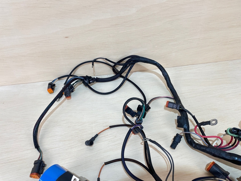 1999 Evinrude Ficht 175HP Outboard Engine Wiring Harness E175FPXEEC