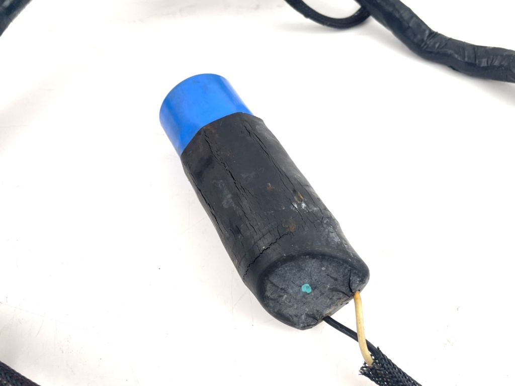 2007 Evinrude 250 HP 2 Stroke Outboard Engine Wire Harness 0586769 OEM