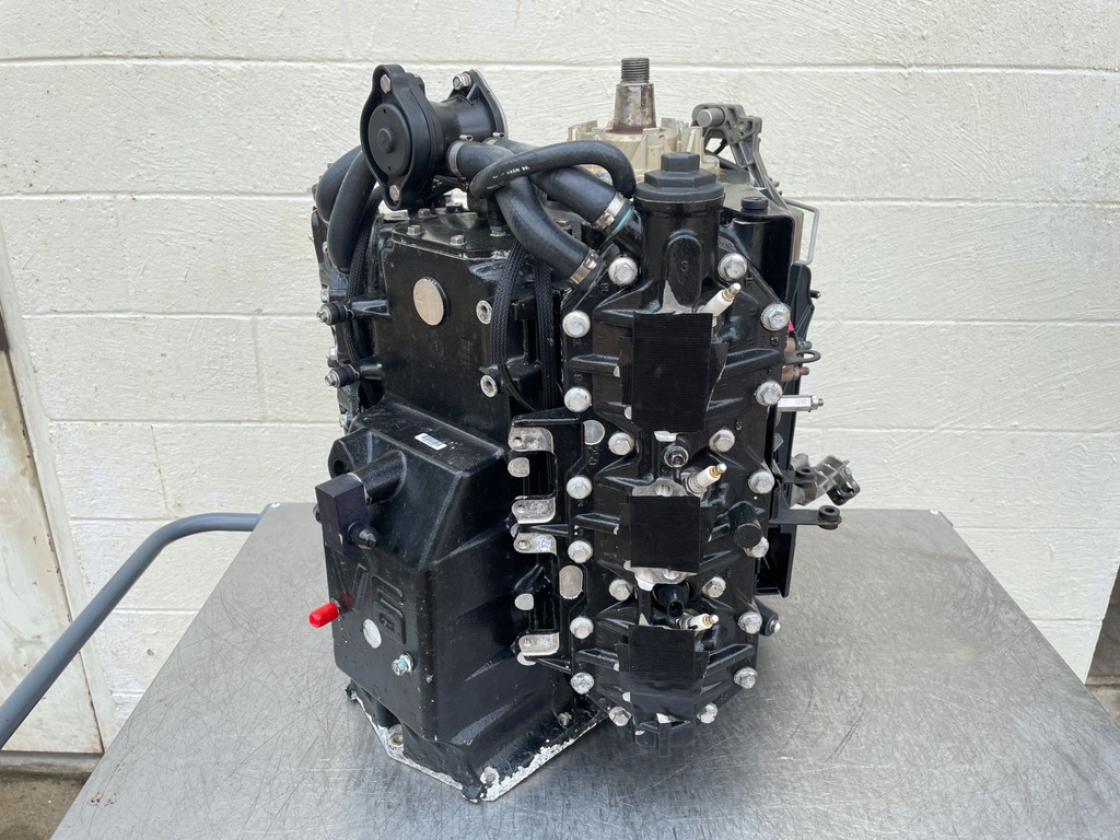 2007 Evinrude 250 HP 2 Stroke Outboard Powerhead 5005909 OEM