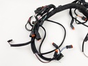 2003 Evinrude 225 HP 2 Stroke Ficht Outboard Engine Wire Harness 0586727 OEM