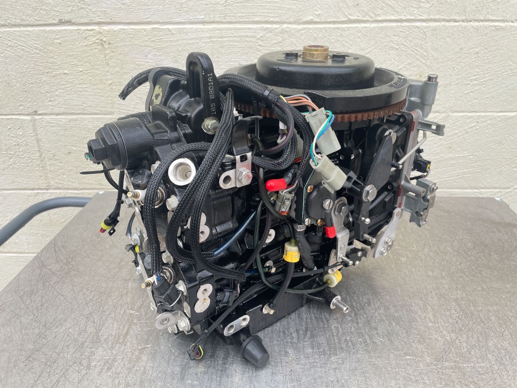 2011 Evinrude 50 HP 2 Stroke Outboard Powerhead 5007396 OEM