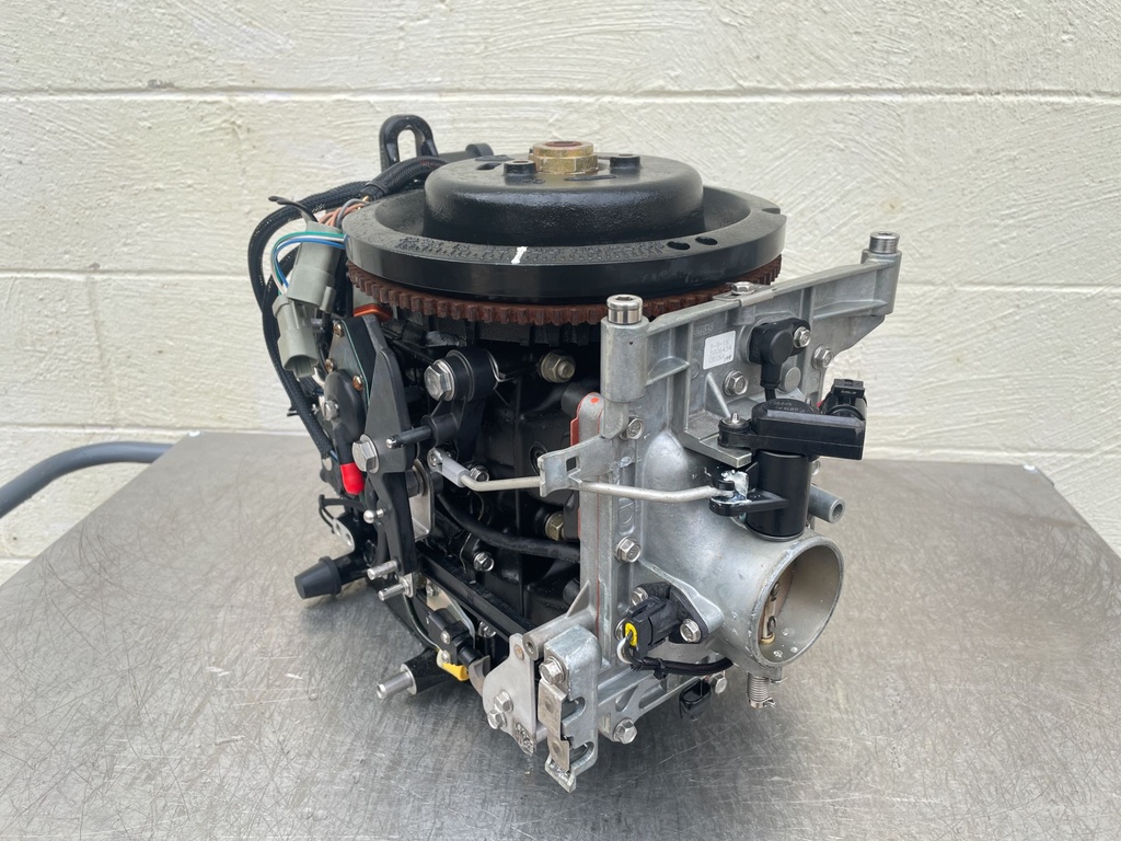 2011 Evinrude 50 HP 2 Stroke Outboard Powerhead 5007396 OEM