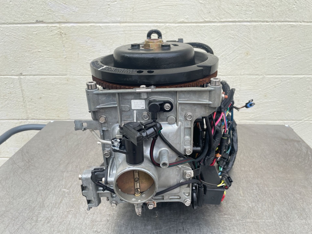 2011 Evinrude 50 HP 2 Stroke Outboard Powerhead 5007396 OEM