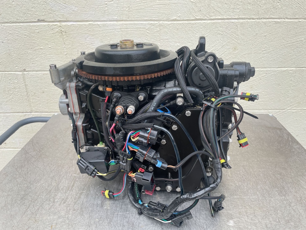 2011 Evinrude 50 HP 2 Stroke Outboard Powerhead 5007396 OEM