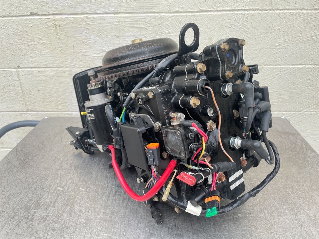 2005 Johnson 50 HP 2 Stroke Outboard Powerhead 0437342 OEM