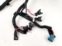 2008 Mercury 40 HP 4 Stroke Outboard Engine Wire Harness 8M0044999 OEM